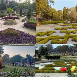rose garden