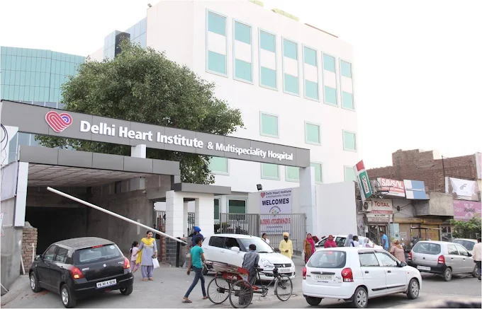 Delhi Heart Institute & Multispeciality Hospital