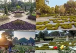 Rose Garden