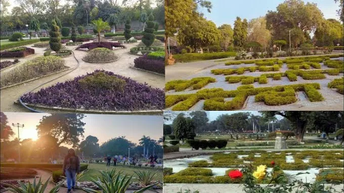 Rose Garden