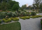 Rose Garden